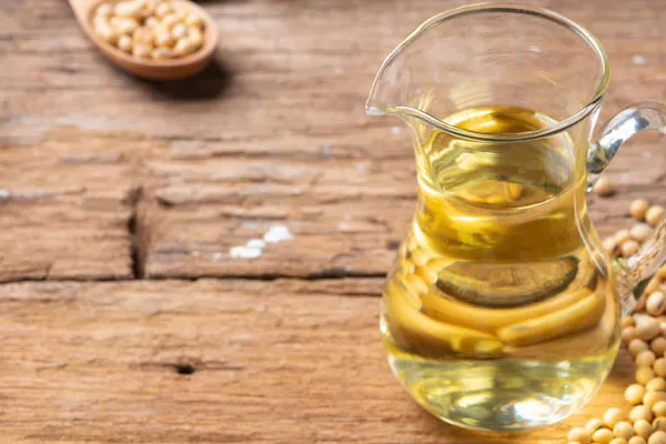 Starting a Business in the Soybean Oil Market in the United States | Guide