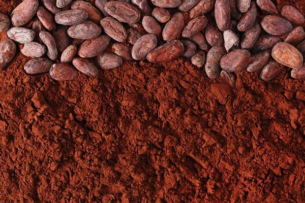 Dramatic Increase in Netherlands Cocoa Powder Export Reaches $95M in November 2023