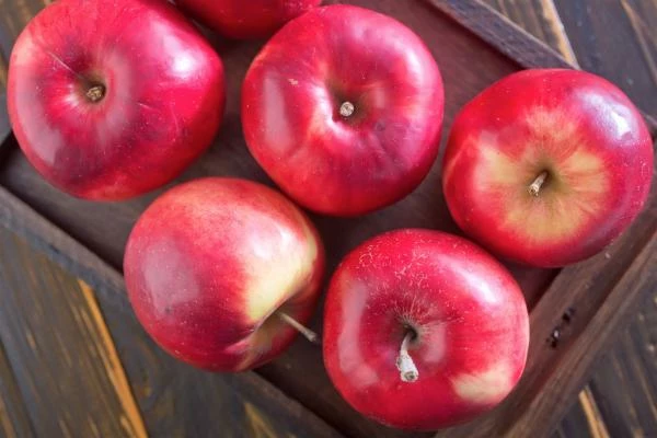 Le prix des pommes en Inde chute de 16 %, atteignant en moyenne 925 $ la tonne après deux mois consécutifs de baisse