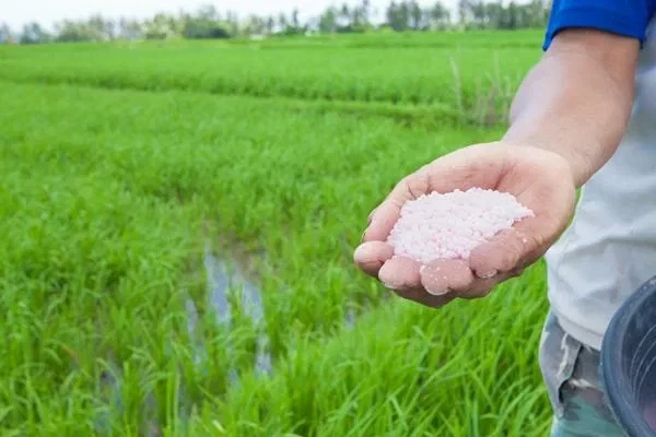 Price of Mixed Fertilizer in China Drops 9% to $641 per Ton
