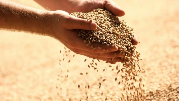 Global Animal and Pet Feed Market to Witness 2.2% CAGR Growth from 2023 to 2030