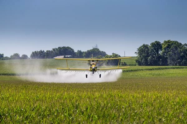 The Best Import Markets for Insecticide