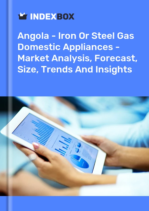 Report Angola - Iron or Steel Gas Domestic Appliances - Market Analysis, Forecast, Size, Trends and Insights for 499$