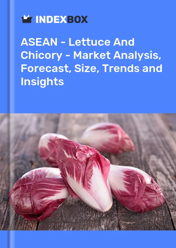 Report ASEAN - Lettuce and Chicory - Market Analysis, Forecast, Size, Trends and Insights for 499$