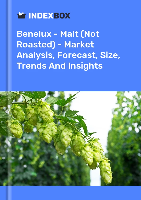 Report Benelux - Malt (Not Roasted) - Market Analysis, Forecast, Size, Trends and Insights for 499$