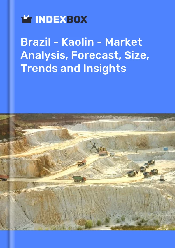 Report Brazil - Kaolin - Market Analysis, Forecast, Size, Trends and Insights for 499$