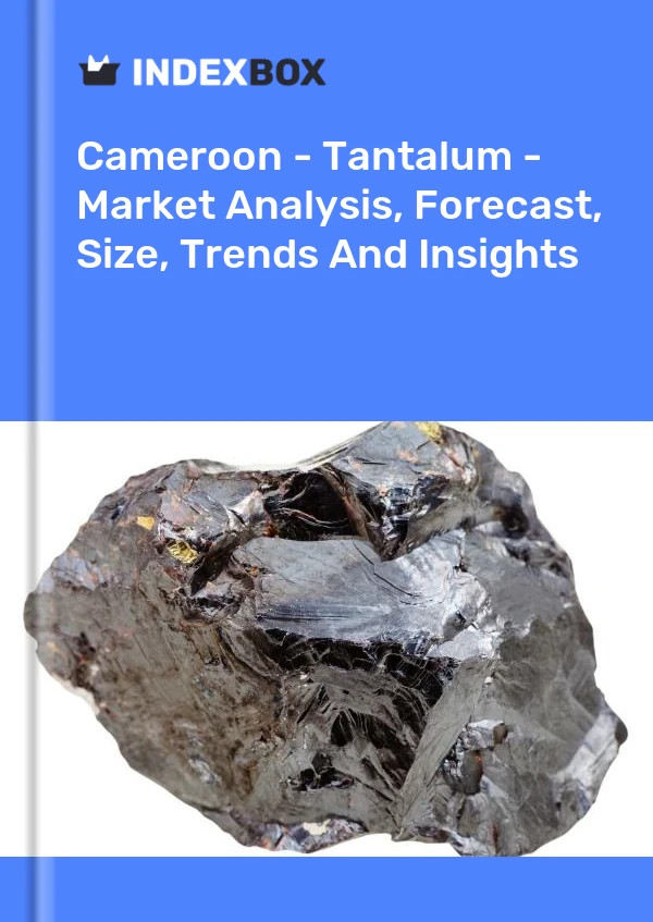 Report Cameroon - Tantalum - Market Analysis, Forecast, Size, Trends and Insights for 499$