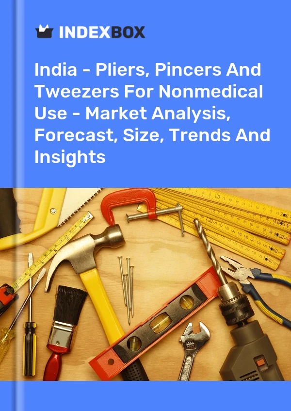 Rapport Inde - Pinces, tenailles et brucelles à usage non médical - Analyse du marché, prévisions, taille, tendances et perspectives for 499$