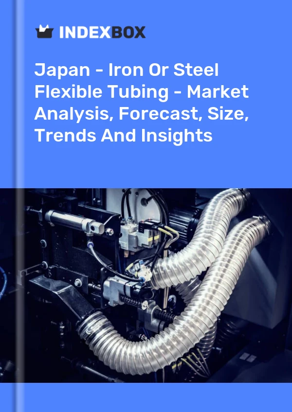 Rapport Japon - Tubes flexibles en fer ou en acier - Analyse du marché, prévisions, taille, tendances et perspectives for 499$