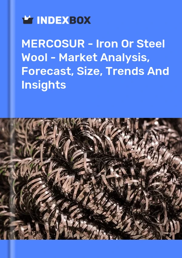 Report MERCOSUR - Iron or Steel Wool - Market Analysis, Forecast, Size, Trends and Insights for 499$