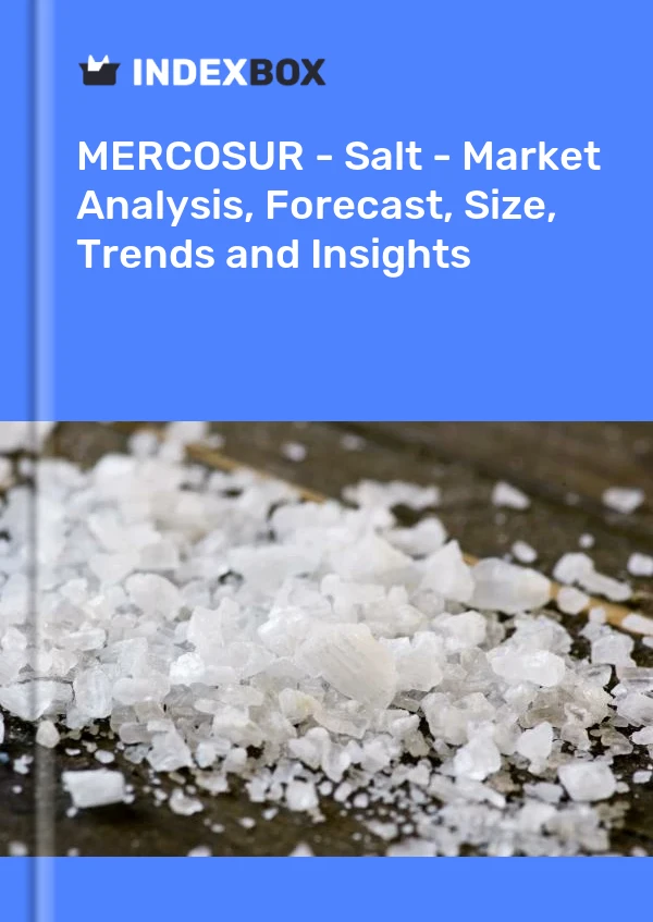 Report MERCOSUR - Salt - Market Analysis, Forecast, Size, Trends and Insights for 499$