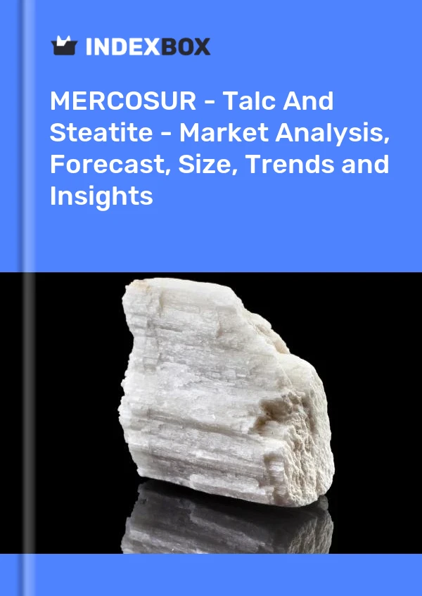 Report MERCOSUR - Talc and Steatite - Market Analysis, Forecast, Size, Trends and Insights for 499$