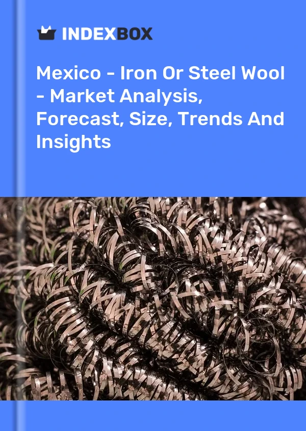 Rapport Mexique - Laine de fer ou d&#39;acier - Analyse du marché, prévisions, taille, tendances et perspectives for 499$