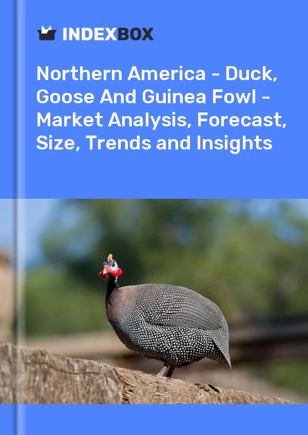 Report Northern America - Duck, Goose and Guinea Fowl - Market Analysis, Forecast, Size, Trends and Insights for 499$