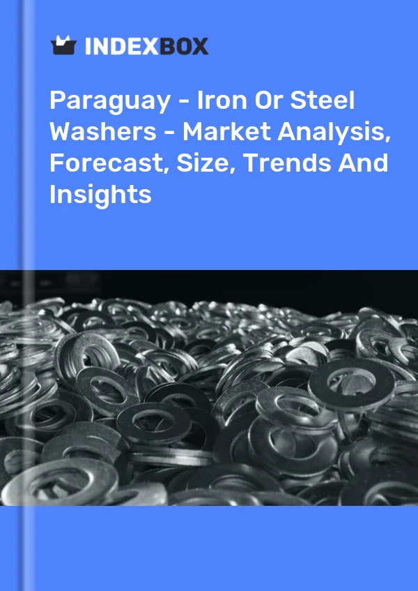 Report Paraguay - Iron or Steel Washers - Market Analysis, Forecast, Size, Trends and Insights for 499$