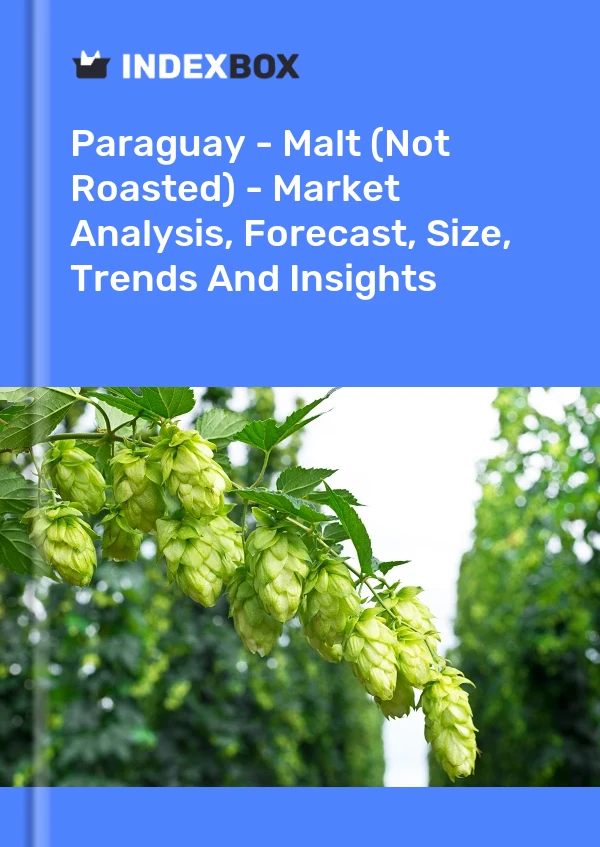 Report Paraguay - Malt (Not Roasted) - Market Analysis, Forecast, Size, Trends and Insights for 499$