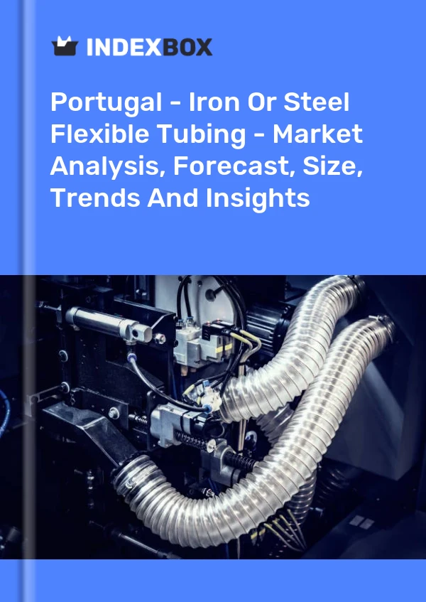 Report Portugal - Iron or Steel Flexible Tubing - Market Analysis, Forecast, Size, Trends and Insights for 499$