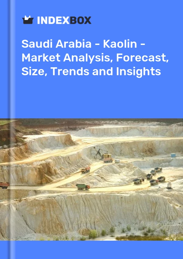 Report Saudi Arabia - Kaolin - Market Analysis, Forecast, Size, Trends and Insights for 499$
