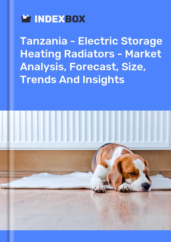 Report Tanzania - Electric Storage Heating Radiators - Market Analysis, Forecast, Size, Trends and Insights for 499$
