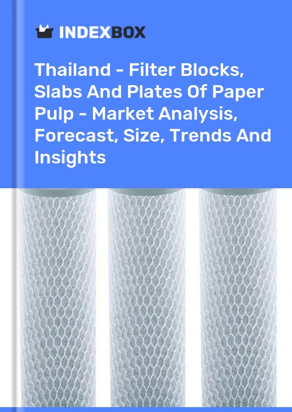 Rapport Thaïlande - Blocs filtrants, dalles et plaques de pâte à papier - Analyse du marché, prévisions, taille, tendances et perspectives for 499$