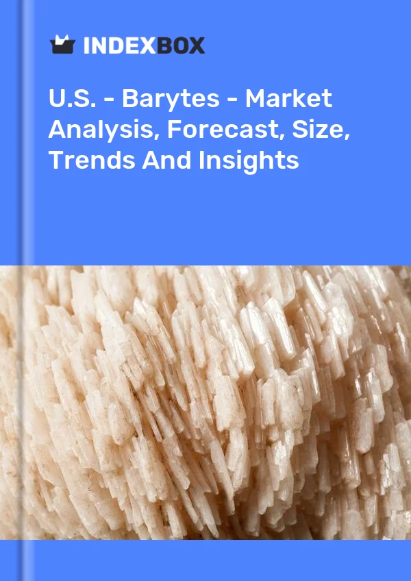 Rapport États-Unis - Barytes - Analyse du marché, prévisions, taille, tendances et perspectives for 499$