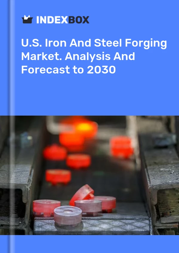 Rapport U.S. Iron and Steel Forging Market. Analysis and Forecast to 2025 for 499$