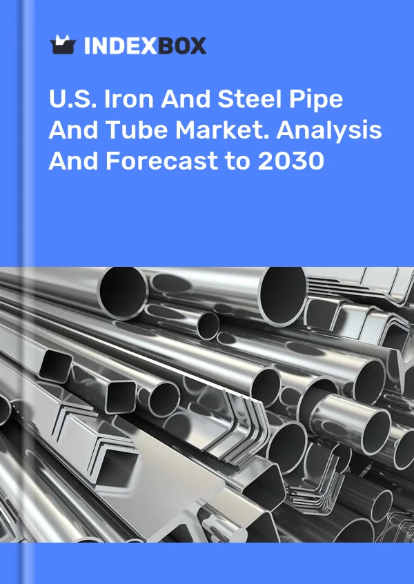 Rapport U.S. Iron and Steel Pipe and Tube Market. Analysis and Forecast to 2025 for 499$