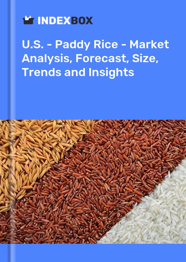 Rapport États-Unis - Riz paddy - Analyse du marché, prévisions, taille, tendances et perspectives for 499$