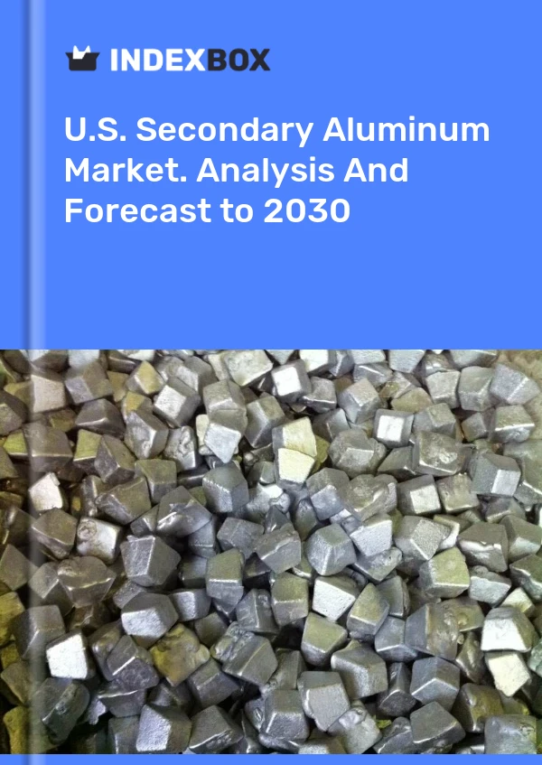 Rapport U.S. Secondary Aluminum Market. Analysis and Forecast to 2025 for 499$