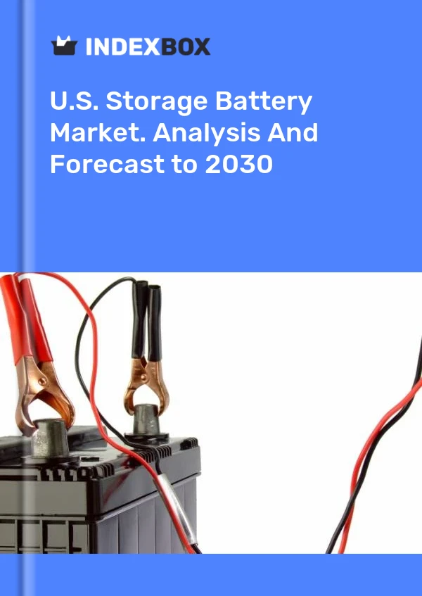 Rapport U.S. Storage Battery Market. Analysis and Forecast to 2025 for 499$