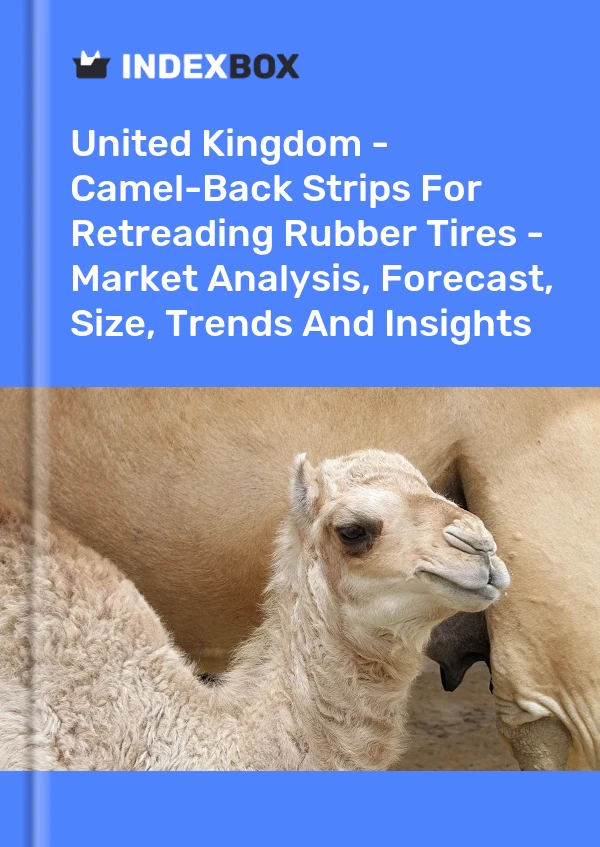 Report United Kingdom - Camel-Back Strips for Retreading Rubber Tires - Market Analysis, Forecast, Size, Trends and Insights for 499$