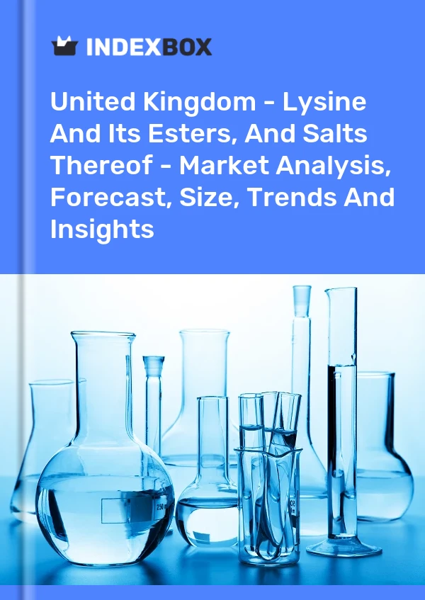 Rapport Royaume-Uni - Lysine et ses esters, et leurs sels - Analyse du marché, prévisions, taille, tendances et perspectives for 499$