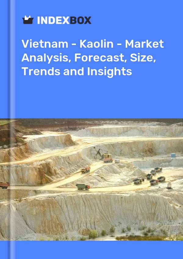 Report Vietnam - Kaolin - Market Analysis, Forecast, Size, Trends and Insights for 499$