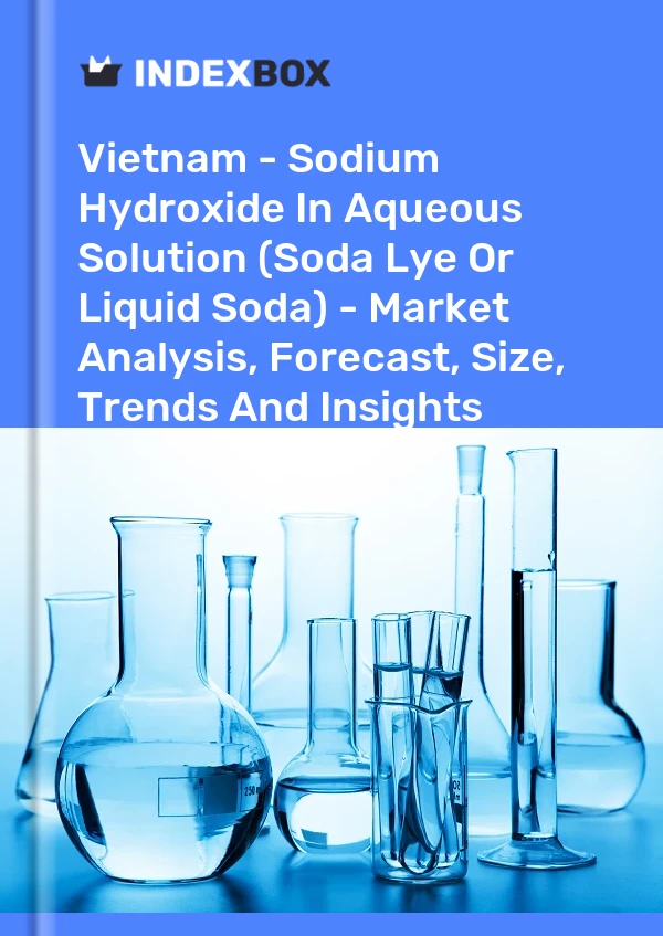Report Vietnam - Sodium Hydroxide in Aqueous Solution (Soda Lye or Liquid Soda) - Market Analysis, Forecast, Size, Trends and Insights for 499$